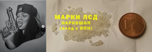 spice Богородицк